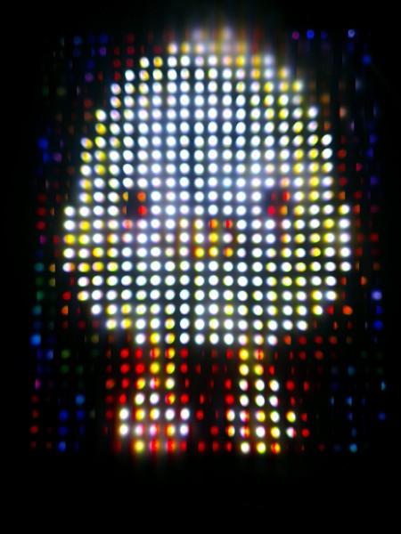 Chicky!  The phone camera didn't really like how bright it was